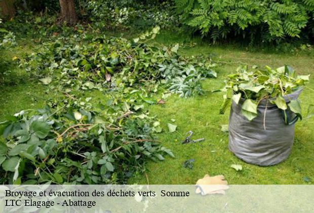 Broyage et évacuation des déchets verts  80 Somme  LTC Elagage - Abattage 