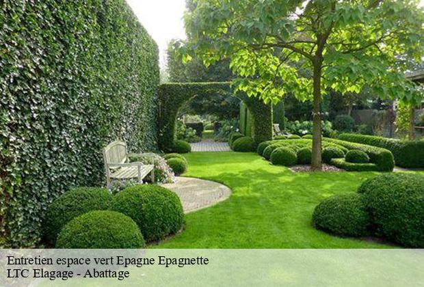 Entretien espace vert  epagne-epagnette-80580 LTC Elagage - Abattage 