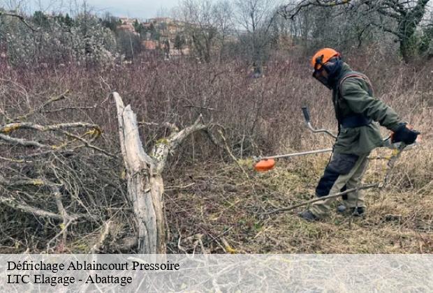 Défrichage  ablaincourt-pressoire-80320 LTC Elagage - Abattage 