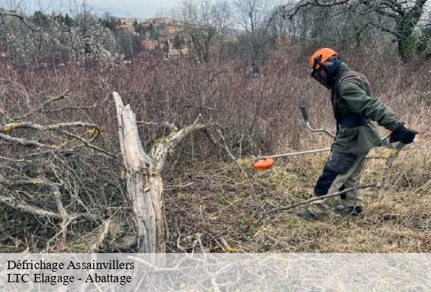 Défrichage  assainvillers-80500 LTC Elagage - Abattage 