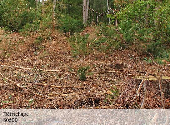 Défrichage  assainvillers-80500 LTC Elagage - Abattage 