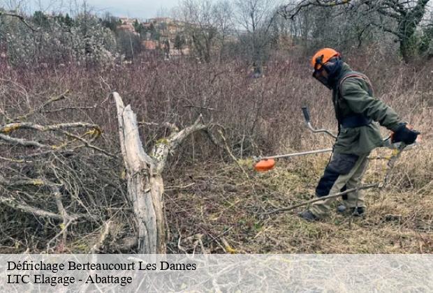 Défrichage  berteaucourt-les-dames-80850 LTC Elagage - Abattage 