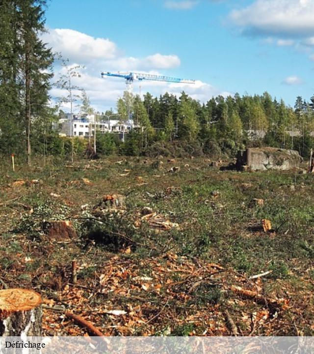 Défrichage  berteaucourt-les-thennes-80110 LTC Elagage - Abattage 