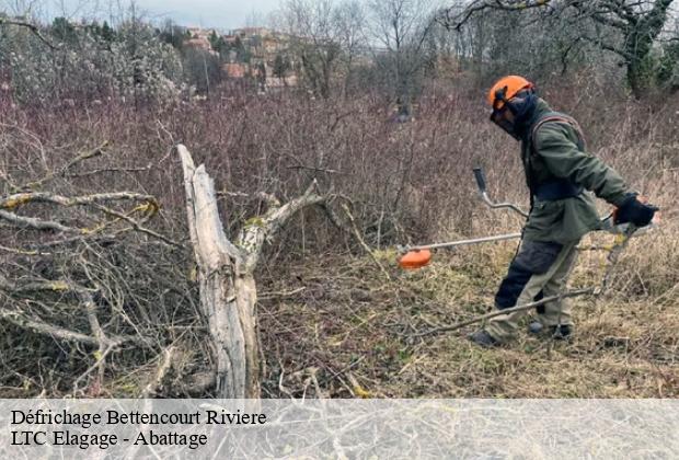 Défrichage  bettencourt-riviere-80270 LTC Elagage - Abattage 