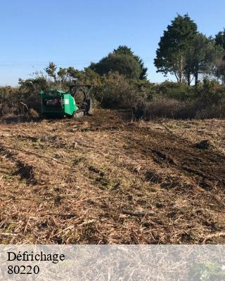 Défrichage  buigny-les-gamaches-80220 LTC Elagage - Abattage 