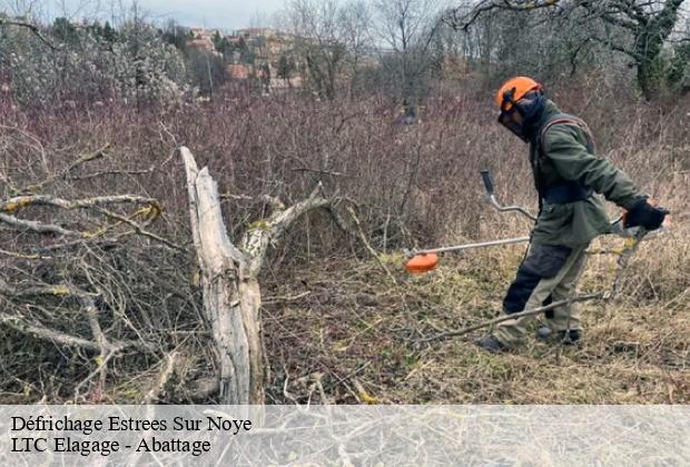 Défrichage  estrees-sur-noye-80250 LTC Elagage - Abattage 