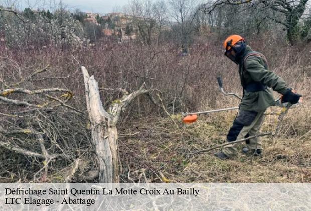 Défrichage  saint-quentin-la-motte-croix-au-bailly-80880 LTC Elagage - Abattage 