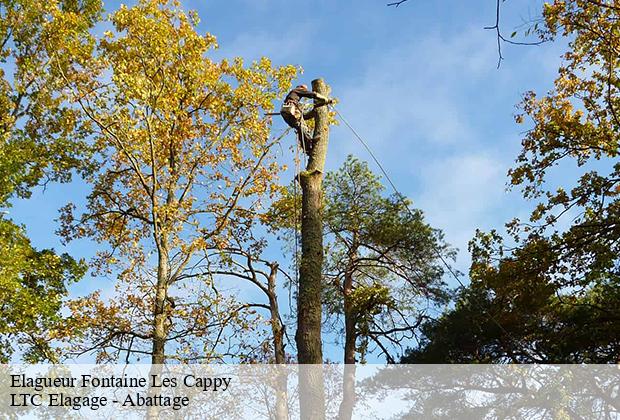 Elagueur  fontaine-les-cappy-80340 LTC Elagage - Abattage 