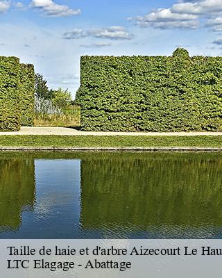 Taille de haie et d'arbre  aizecourt-le-haut-80200 LTC Elagage - Abattage 