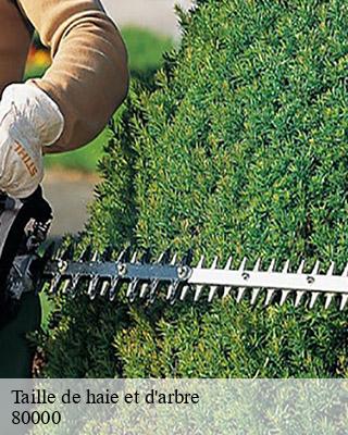 Taille de haie et d'arbre  amiens-80000 LTC Elagage - Abattage 