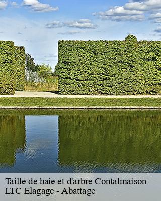 Taille de haie et d'arbre  contalmaison-80300 LTC Elagage - Abattage 