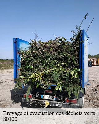 Broyage et évacuation des déchets verts   abbeville-80100 LTC Elagage - Abattage 