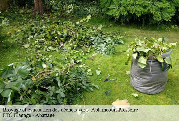 Broyage et évacuation des déchets verts   ablaincourt-pressoire-80320 LTC Elagage - Abattage 