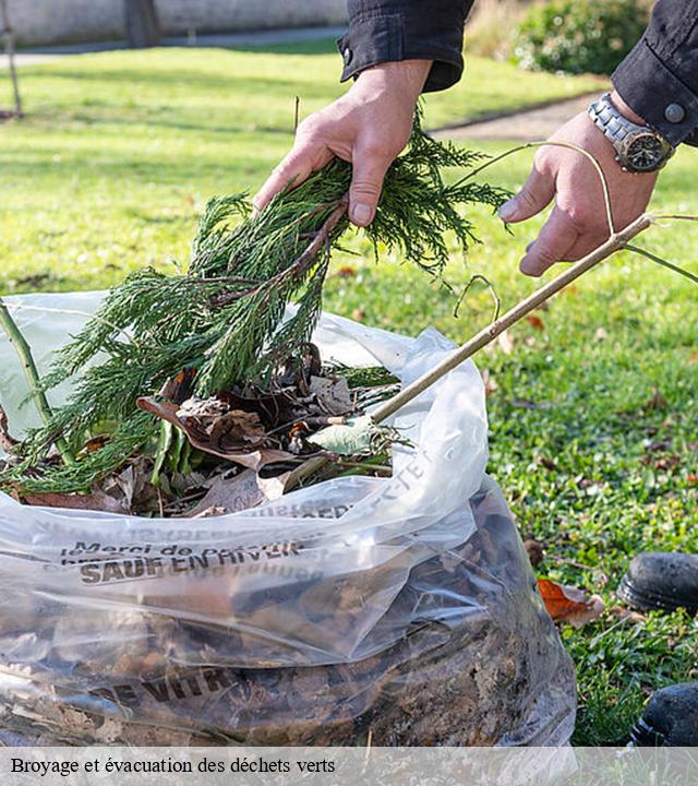 Broyage et évacuation des déchets verts   acheux-en-amienois-80560 LTC Elagage - Abattage 