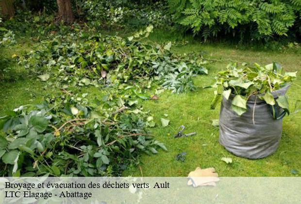 Broyage et évacuation des déchets verts   ault-80460 LTC Elagage - Abattage 