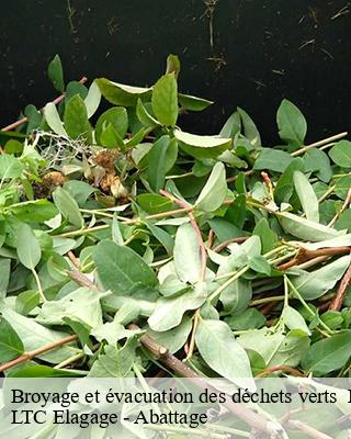 Broyage et évacuation des déchets verts   belloy-sur-somme-80310 LTC Elagage - Abattage 