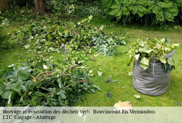 Broyage et évacuation des déchets verts   bouvincourt-en-vermandois-80200 LTC Elagage - Abattage 