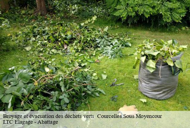 Broyage et évacuation des déchets verts   courcelles-sous-moyencour-80290 LTC Elagage - Abattage 