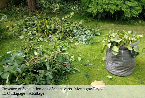 Broyage et évacuation des déchets verts   montagne-fayel-80540 LTC Elagage - Abattage 