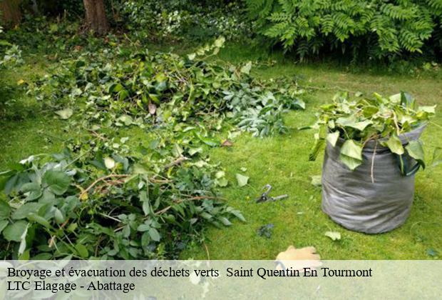 Broyage et évacuation des déchets verts   saint-quentin-en-tourmont-80120 LTC Elagage - Abattage 