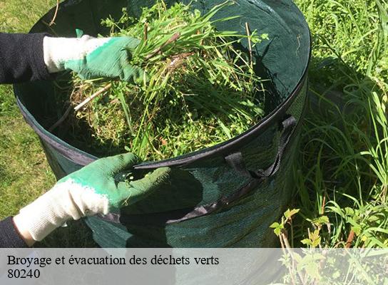 Broyage et évacuation des déchets verts   templeux-la-fosse-80240 LTC Elagage - Abattage 