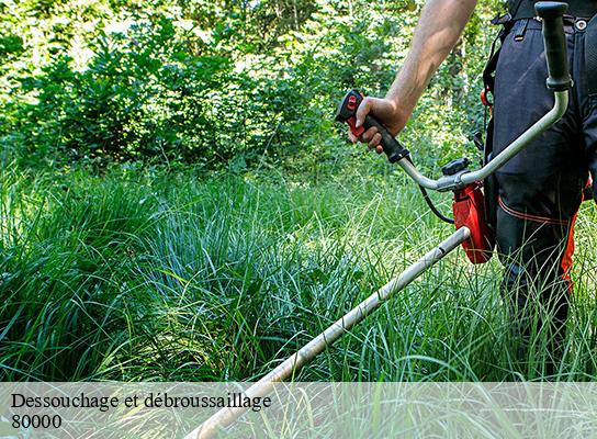 Dessouchage et débroussaillage  amiens-80000 LTC Elagage - Abattage 