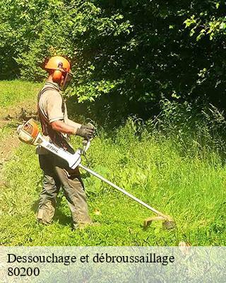 Dessouchage et débroussaillage  belloy-en-santerre-80200 LTC Elagage - Abattage 