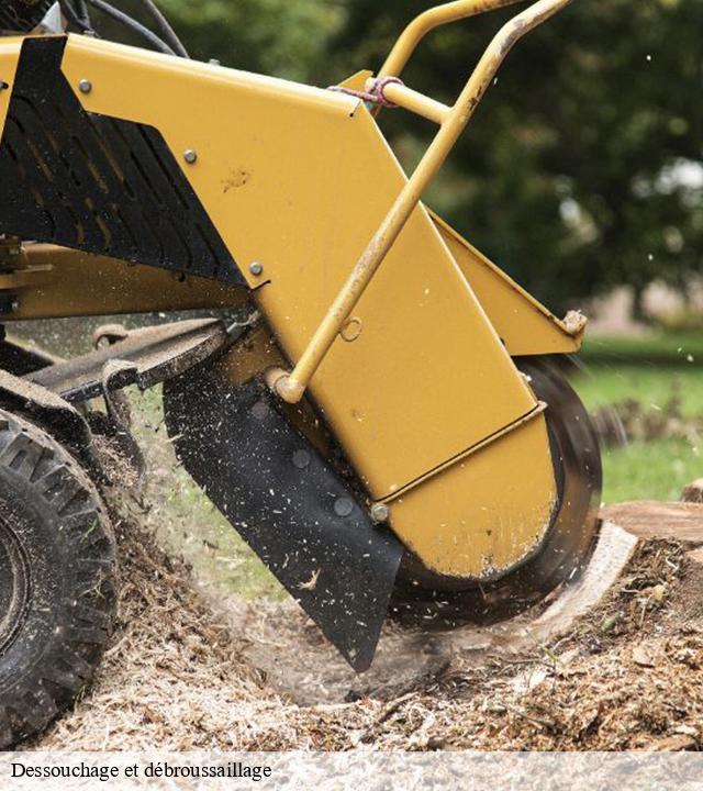 Dessouchage et débroussaillage  vers-sur-selles-80480 LTC Elagage - Abattage 