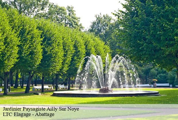 Jardinier Paysagiste  ailly-sur-noye-80250 LTC Elagage - Abattage 