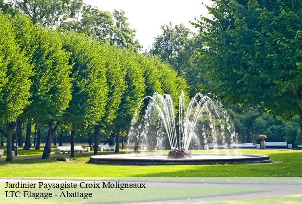 Jardinier Paysagiste  croix-moligneaux-80400 LTC Elagage - Abattage 