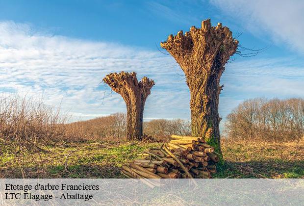 Etetage d'arbre  francieres-80690 LTC Elagage - Abattage 