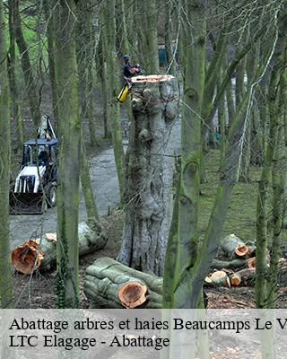 Abattage arbres et haies  beaucamps-le-vieux-80430 LTC Elagage - Abattage 