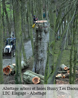 Abattage arbres et haies  bussy-les-daours-80800 LTC Elagage - Abattage 