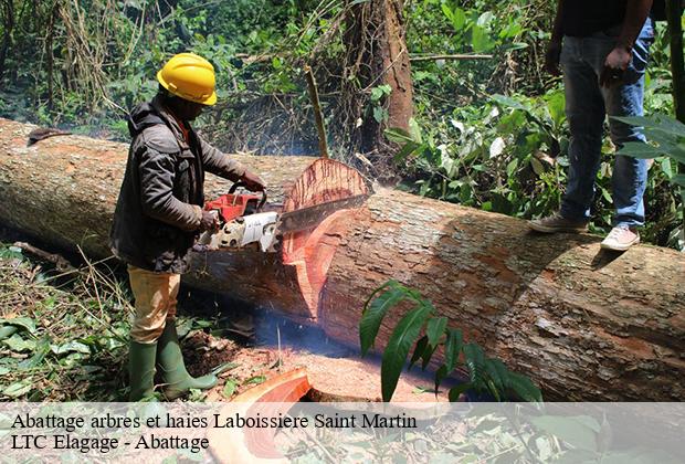 Abattage arbres et haies  laboissiere-saint-martin-80430 LTC Elagage - Abattage 